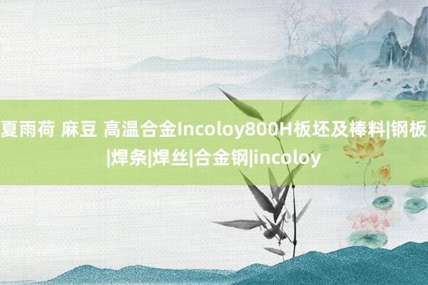 夏雨荷 麻豆 高温合金Incoloy800H板坯及棒料|钢板|焊条|焊丝|合金钢|incoloy